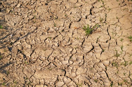 dry soil  drought  dehydrated