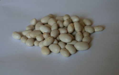 Dry White Beans