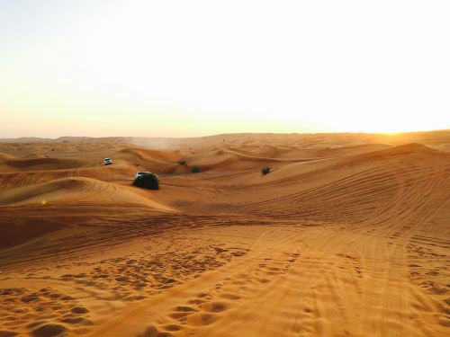 dubai desert arab