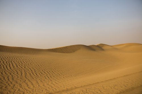 dubai  wilderness  sand