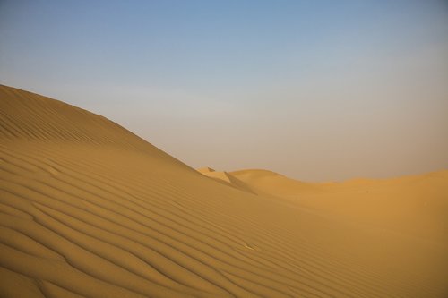 dubai  the dunes  wilderness