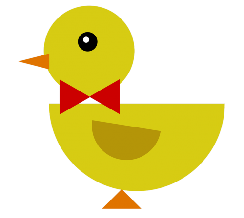 duck duckling bow
