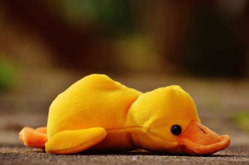 duck funny soft toy