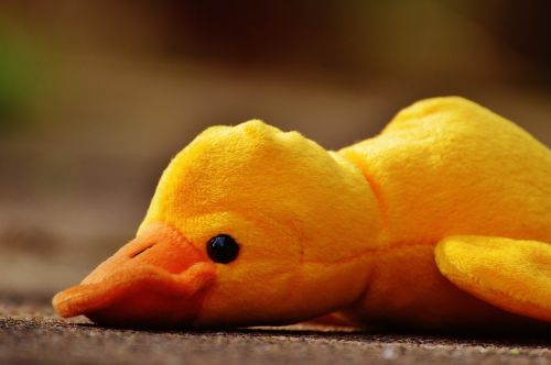 duck funny soft toy