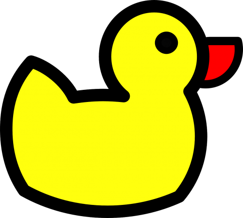 duck duckling toy