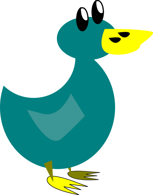 duck duckling bird
