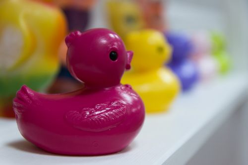 duck toy regiment