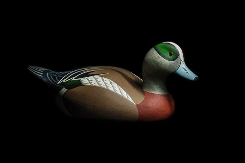 duck decoy nature
