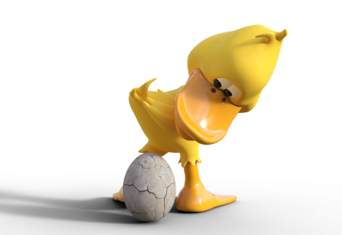 duck goose egg