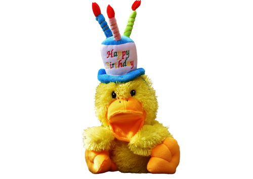 duck birthday happy birthday