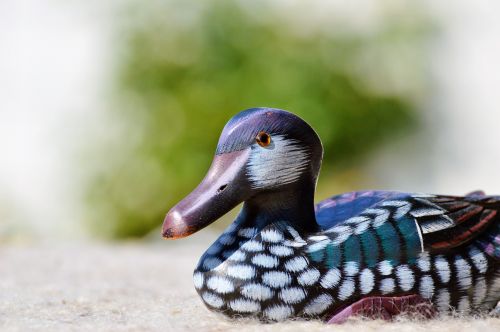 duck wood duck deco