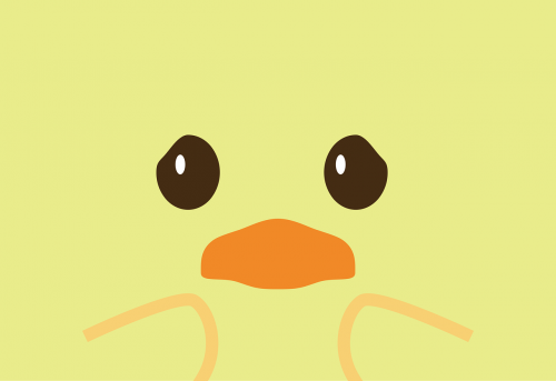 duck card animal