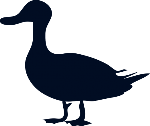 duck silhouette fowl