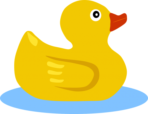 duck swimming yellow