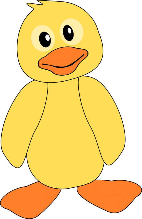 duck duckling yellow