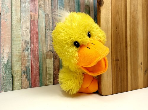 duck  stuffed animal  funny