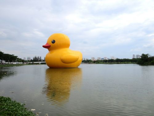 duck art duck tour