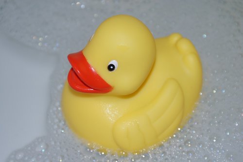 duck  bath  yellow