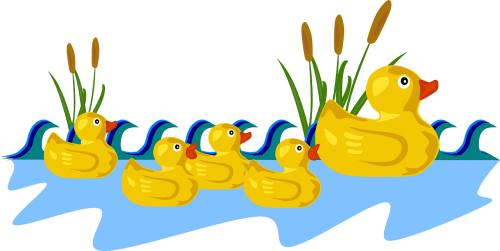 duck swimming toy