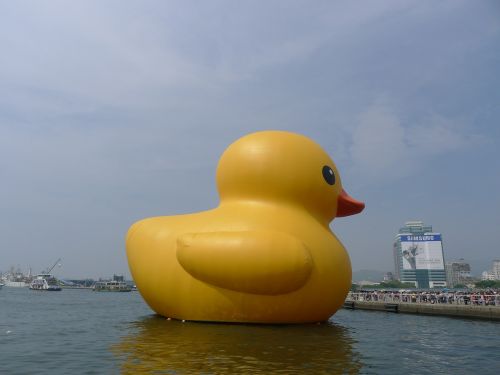 duck yellow duck kaohsiung