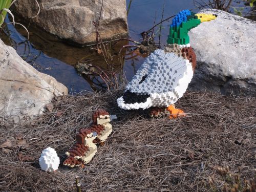 lego duck nature