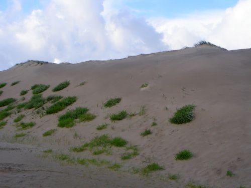 Dune