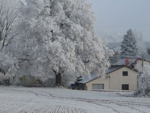 House In Winter