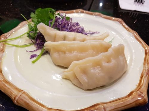 dumplings rissole people's republic of china food