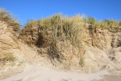 dune sea beach