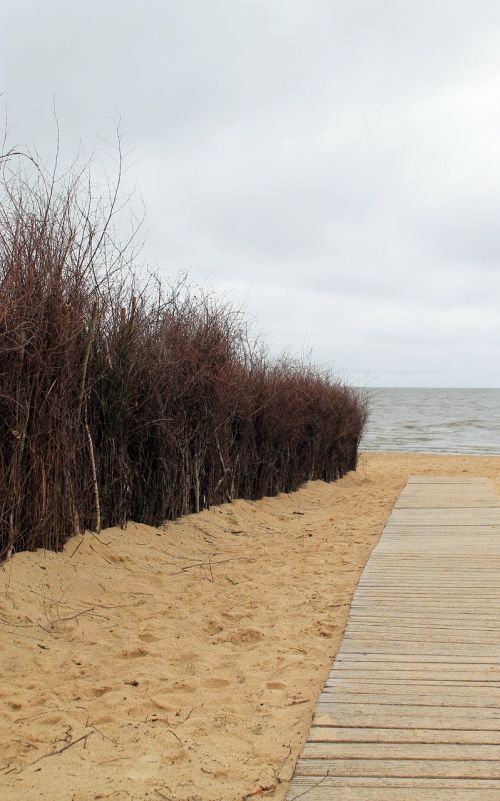 dunes coast beach