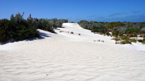 dune australia quartz sand