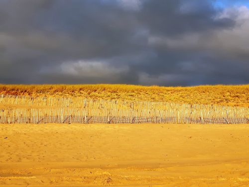 dune beach sand