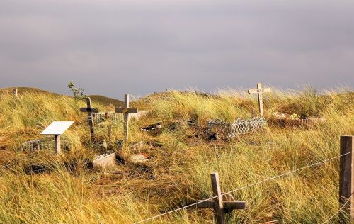 dune grasses cemetery