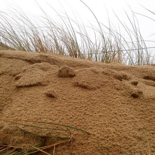 dune sand coast