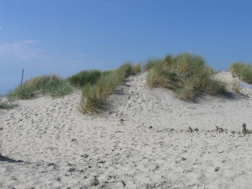 dune north dune ridge
