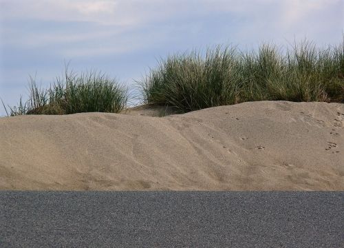 dune beach north sea