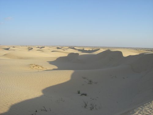 dune tunisia desert