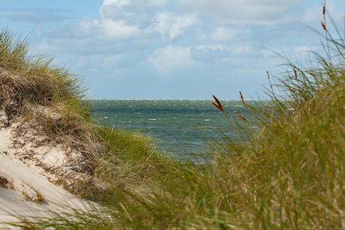 dune sea north sea