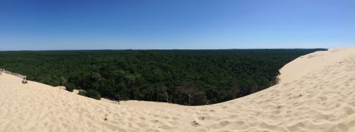 dune pila vacancy