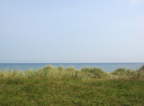 dune dune grass baltic sea