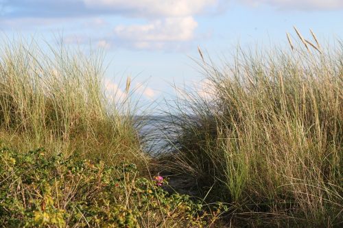 dune coast sand