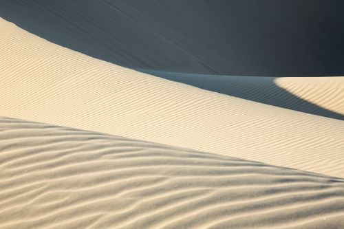dune desert beach
