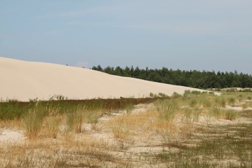 dune the mobile dune the coast