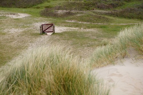 dune  sand  island