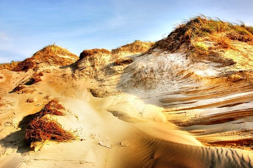 dune  beach  sea