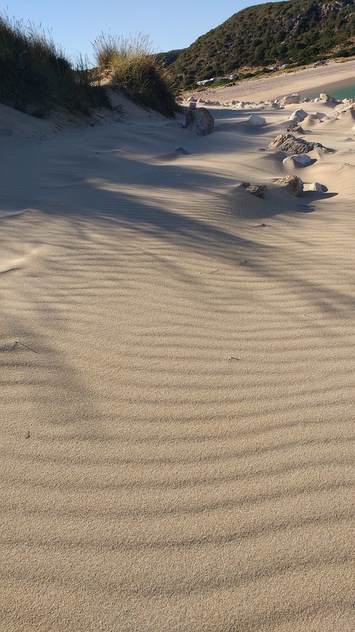 dune  sand  sea