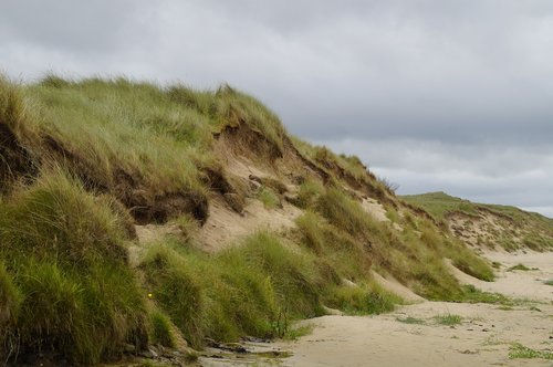 dune  beach  north sea