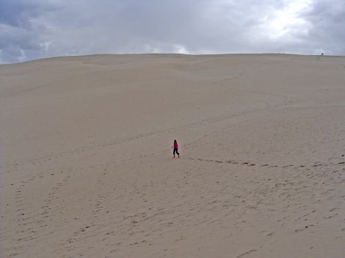 dune soledad desert