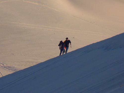 dune desert dry