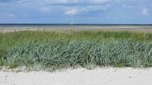 dune baltic sea sea